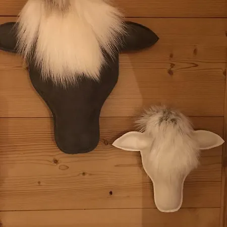 - Cosy Duplex Avec Vue Silveralp 341 Апартаменти Валь-Торанс